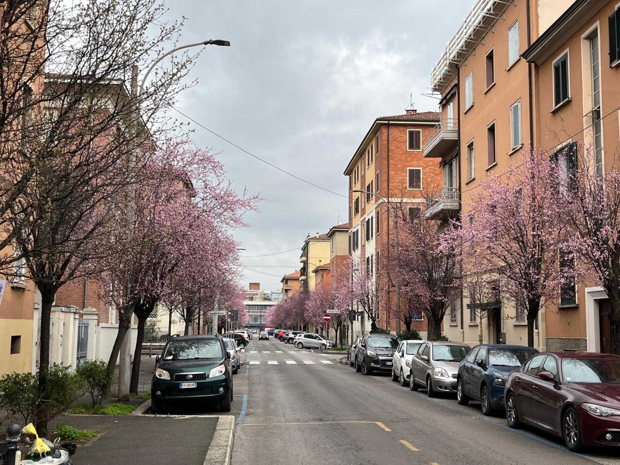 Apartmán Casa Meli, Ampio Bilocale Nuovo Boloňa Exteriér fotografie